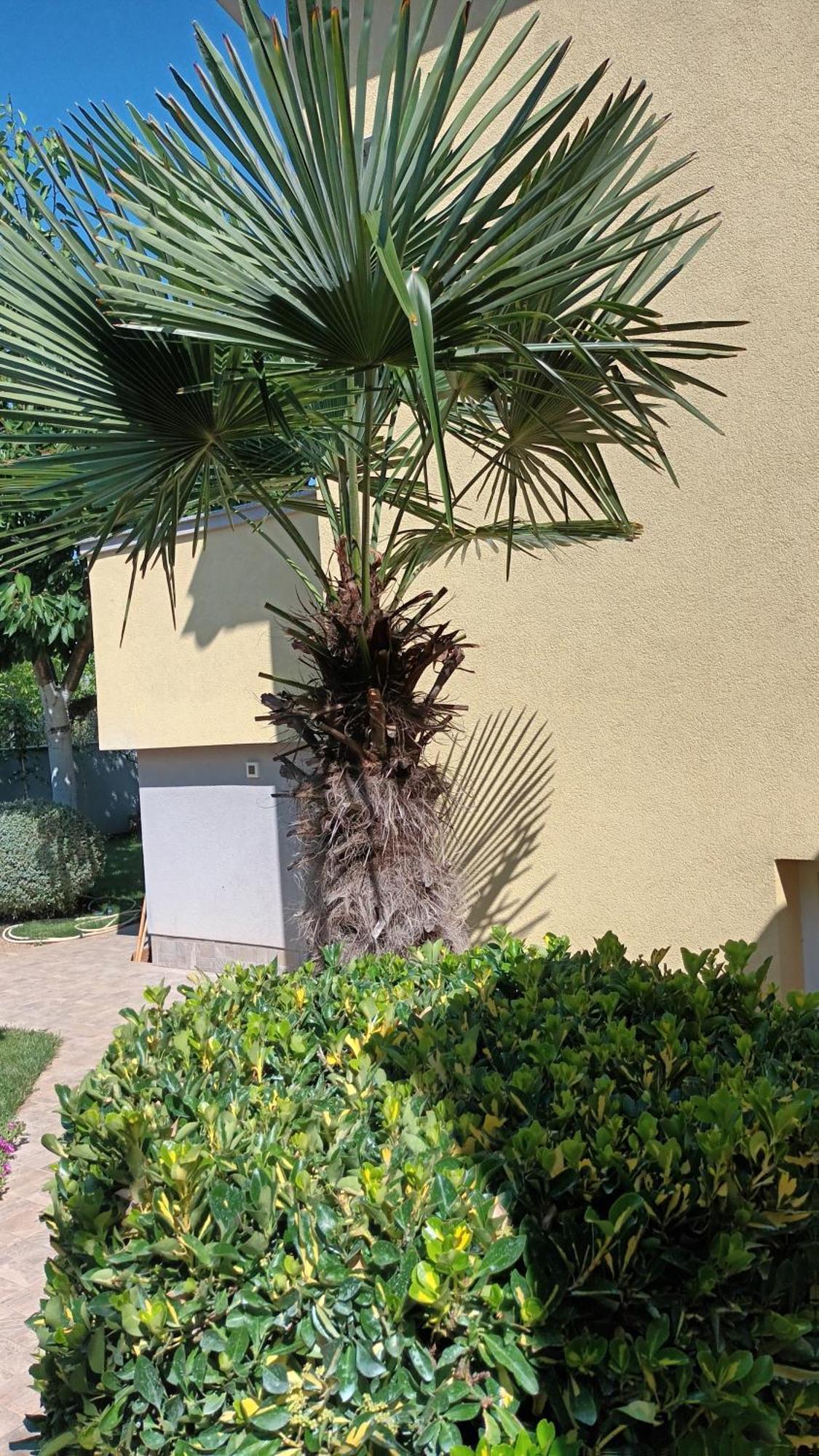 Apartments Monte Magno Pula Exterior foto
